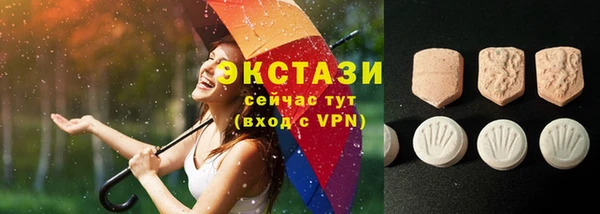 МДПВ Вяземский
