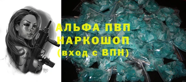 гидра Саяногорск