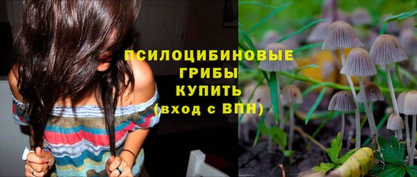 МДПВ Вяземский