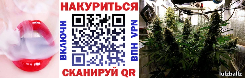 Каннабис планчик Люберцы